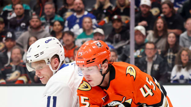 42059495_Toronto_Maple_Leafs_v_Anaheim_Ducks_Deleted_User_20260331_030410