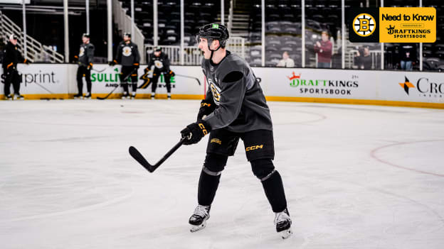 Need to Know: Bruins vs. Sharks 