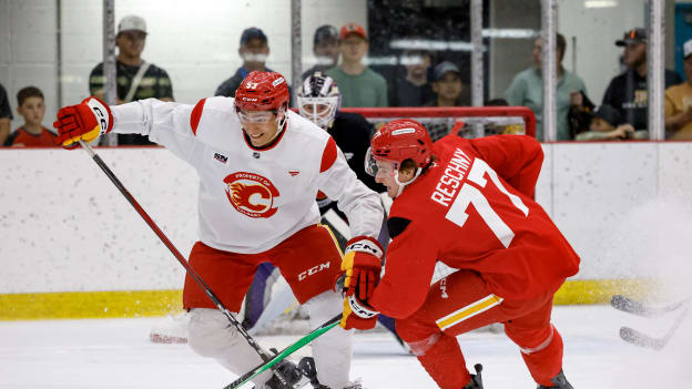20260703_FLAMES_DEV_CAMP_FLA3121_JP