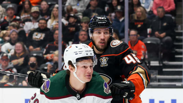 18395049_Arizona_Coyotes_v_Anaheim_Ducks_Andrew_Taylor_(Greenfly)_20231102_033614