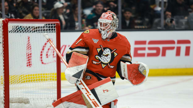 39764136_Nicole_Vasquez_20260202_033258