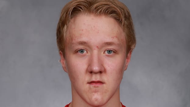 holmstrom7587