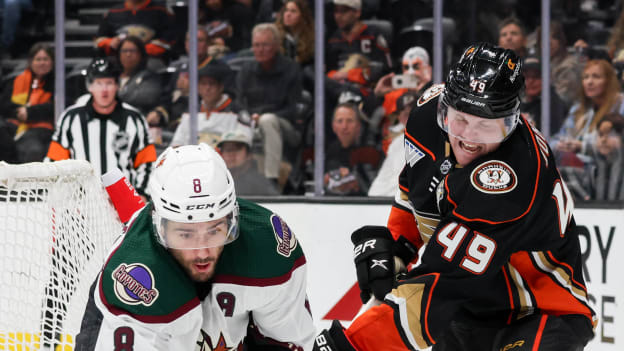 18396201_Arizona_Coyotes_v_Anaheim_Ducks_Andrew_Taylor_(Greenfly)_20231102_040409