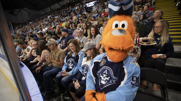 Calder Cup Playoffs Conference Finals Game Four: Ads vs. Firebirds