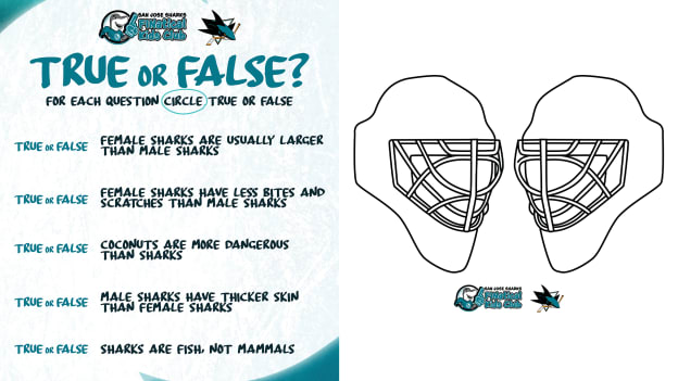 Downloadable Hockey Helmet & Shark Knowledge test