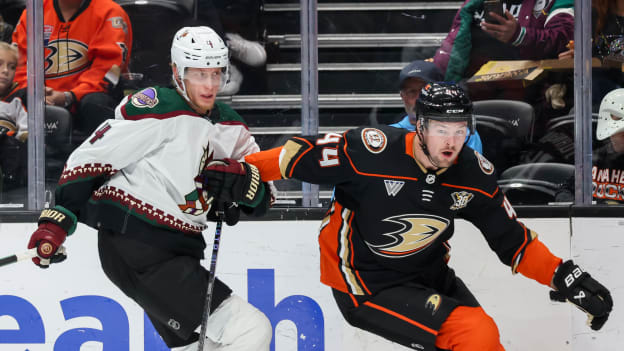 18391981_Arizona_Coyotes_v_Anaheim_Ducks_Andrew_Taylor_(Greenfly)_20231102_024009