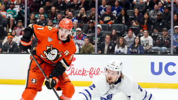42059494_Toronto_Maple_Leafs_v_Anaheim_Ducks_Deleted_User_20260331_030410