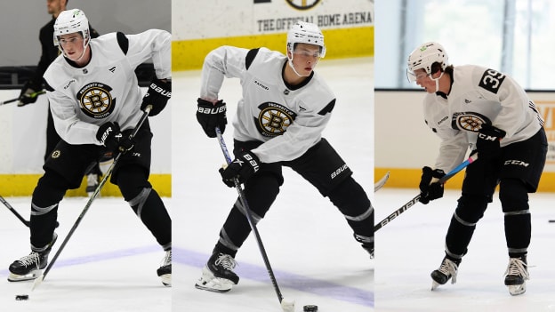 Bruins Prospects Named as Hobey Baker Nominees 