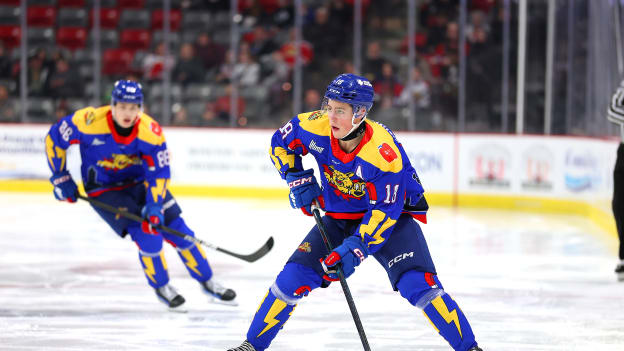 CHL-Playoffs im Fokus der Scouts