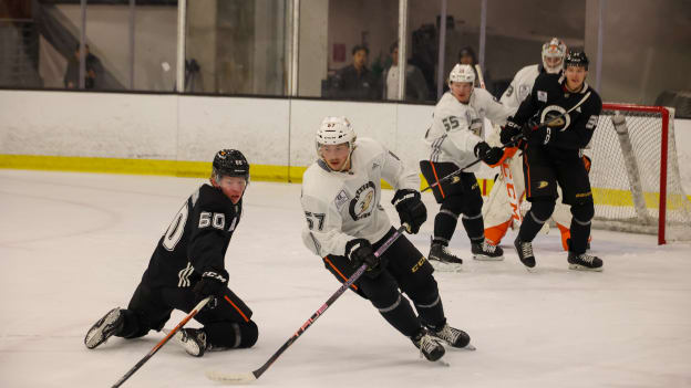 Ducks Development Camp 2023