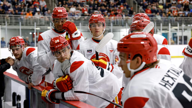 20260703_FLAMES_DEV_CAMP_FLA2286_JP