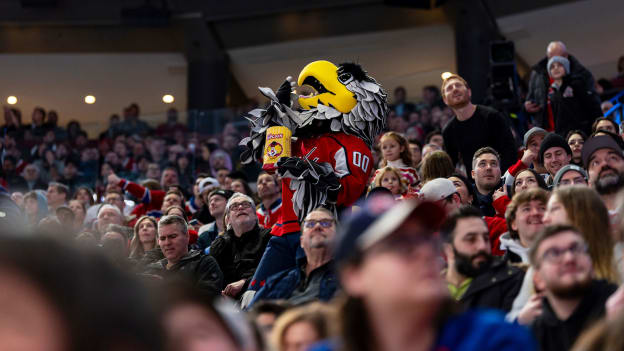 20260122-buf-mtl-ABC01074