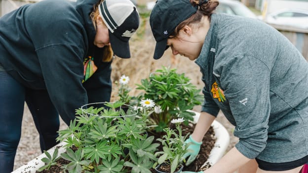 Bronzeville Community Garden Cleanup