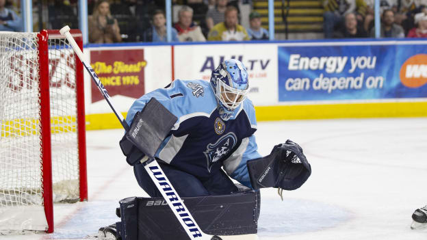 Calder Cup Playoffs Conference Finals Game Four: Ads vs. Firebirds