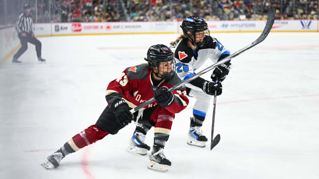 PWHL Game Draws Passionate Crowd in Steel City