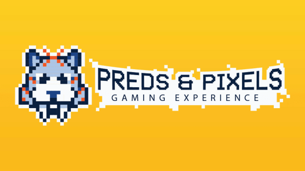 Preds & Pixels Gaming Experience