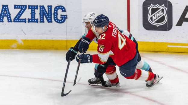 LS1_7625-Enhanced-NR