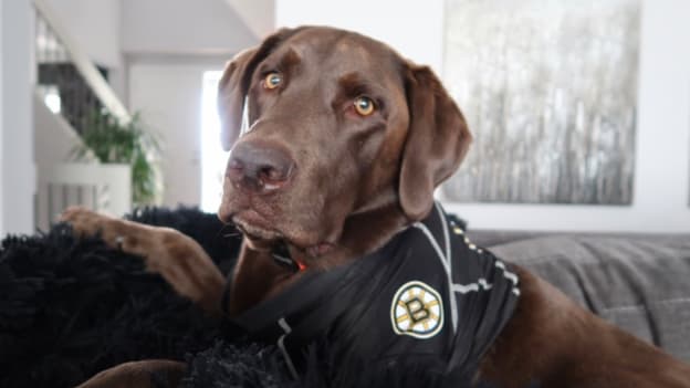 Players' Pets, pres. by PetSmart: Jake DeBrusk and Tampa