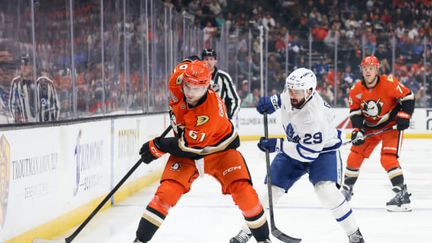 42057955_Toronto_Maple_Leafs_v_Anaheim_Ducks_Deleted_User_20260331_023626