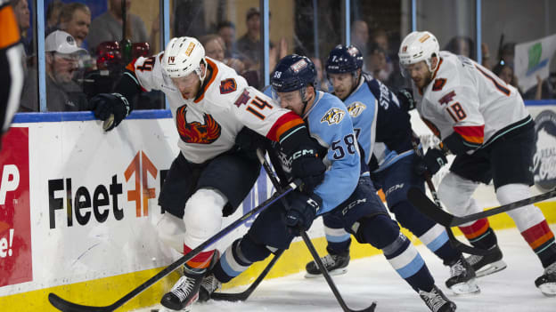 Calder Cup Playoffs Conference Finals Game Five: Ads vs. Firebirds