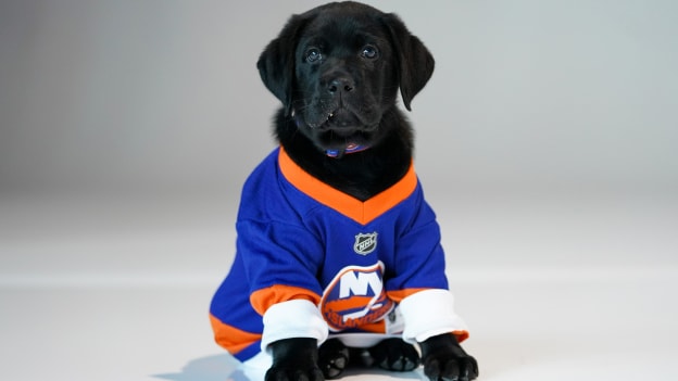 PHOTOS: Islanders 2021-22 Puppy Calendar Shoot