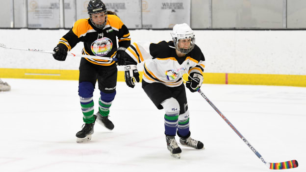 Second Annual Boston Pride Hockey Scrimmage, pres. by TD Bank