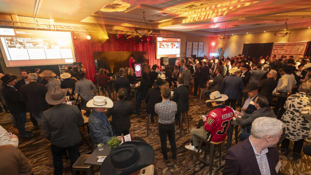 20260127_POKER_FLA_4192ms