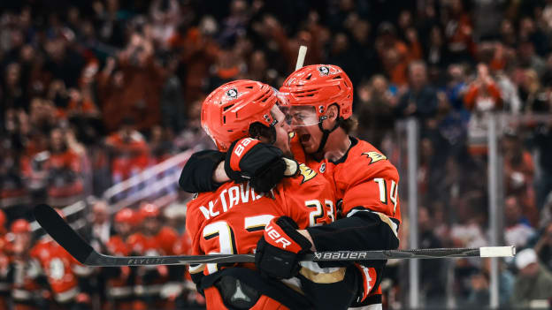 954958b8-7fa3-4622-9198-81988f5c2156Vasquez