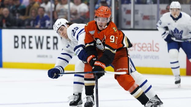 42063878_Toronto_Maple_Leafs_v_Anaheim_Ducks_Deleted_User_20260331_040641
