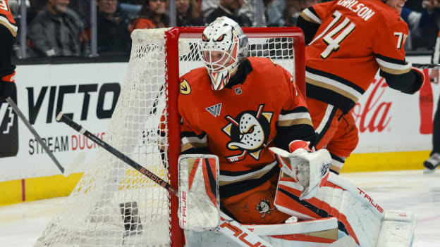 42058241_Nicole_Vasquez_20260331_023940