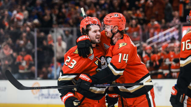 68633cce-1a89-4bc6-a23d-0dcef314115cVasquez