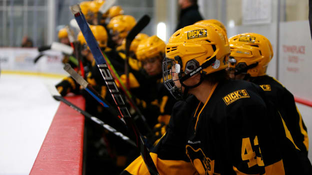 DICK'S Sporting Goods Pittsburgh Penguins Elite