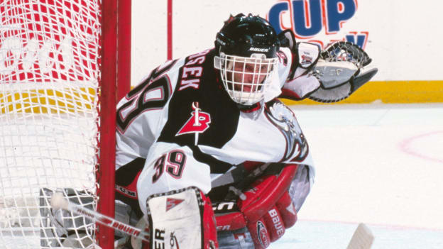 Hasek 7