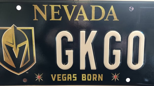 vgk-license-plate-ex-26