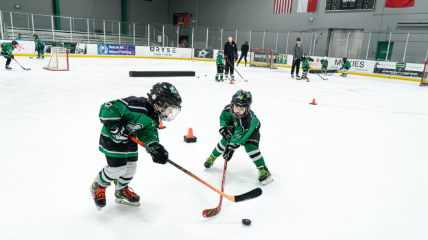 DSC03116-Enhanced-NR