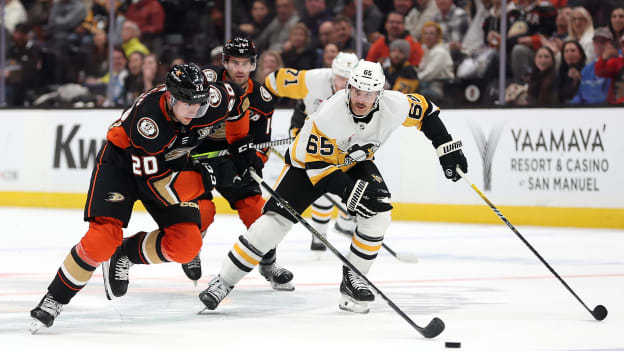 18516530_Pittsburgh_Penguins_v_Anaheim_Ducks_Andrew_Taylor_(Greenfly)_20231108_045411