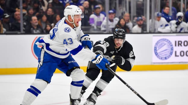 28276914_Tampa_Bay_Lightning_v_Los_Angeles_Kings_Andrew_Taylor_(Greenfly)_20250105_024909