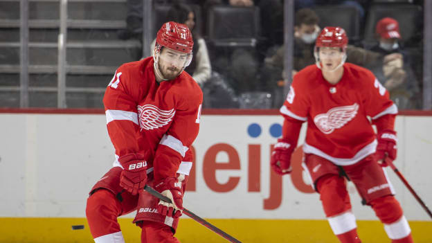 Game 38 | Dallas Stars at Detroit Red Wings