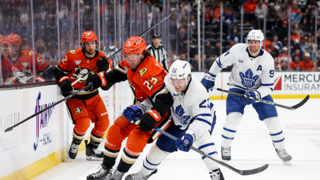 42066999_Toronto_Maple_Leafs_v_Anaheim_Ducks_Deleted_User_20260331_050220