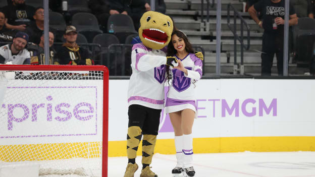 NYRvsVGK_zk_2025-11-18_0181