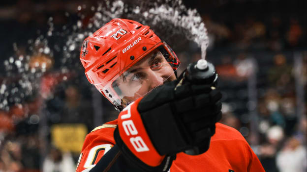 7dba4271-af1b-41d8-b870-488e60f49a0bVasquez