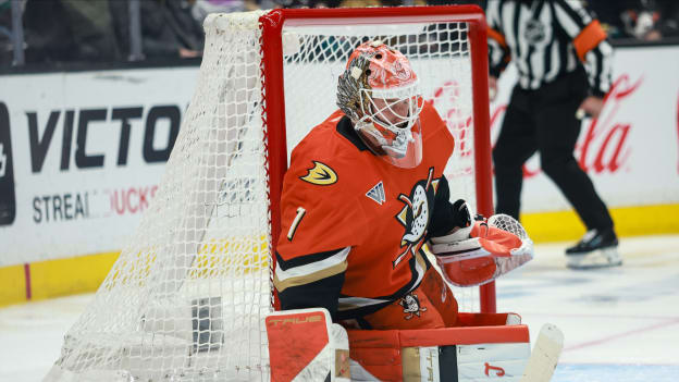 39764129_Nicole_Vasquez_20260202_033250