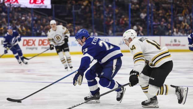 18767223_Boston_Bruins_v_Tampa_Bay_Lightning_Andrew_Taylor_(Greenfly)_20231121_024908