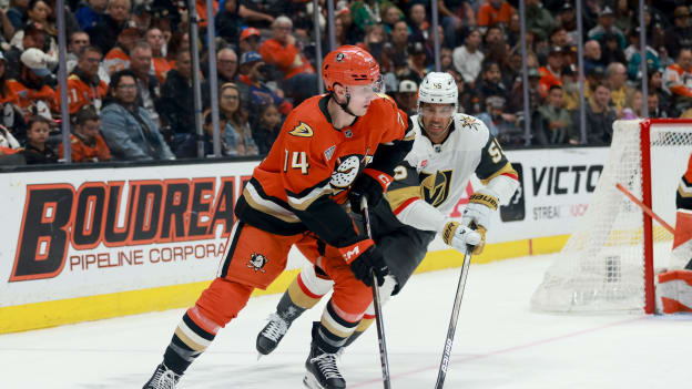 39770339_Vegas_Golden_Knights_v_Anaheim_Ducks_Deleted_User_20260202_064307