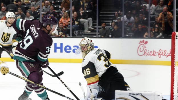 18478377_Anaheim_Ducks_vs_Vegas_Golden_Knights_Andrew_Taylor_(Greenfly)_20231106_042130