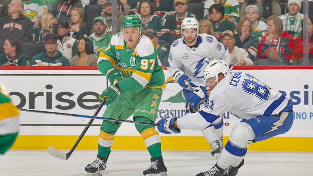 26951053_Tampa_Bay_Lightning_v_Minnesota_Wild_Andrew_Taylor_(Greenfly)_20241102_011226