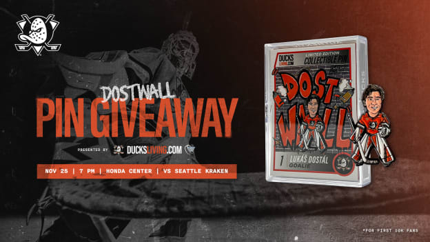 DostWall Player Pin Giveaway