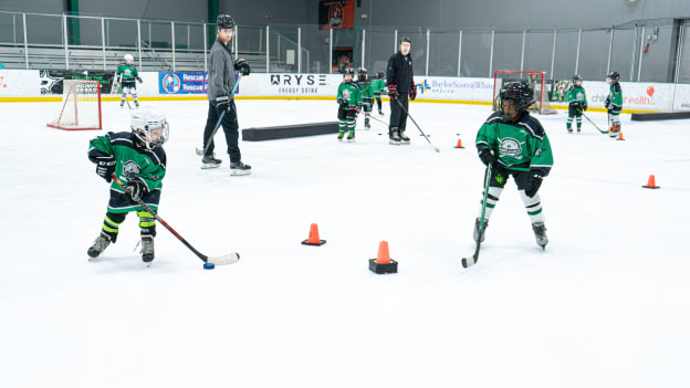 DSC03103-Enhanced-NR