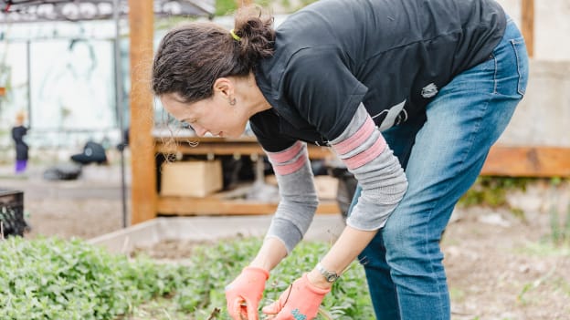 Bronzeville Community Garden Cleanup
