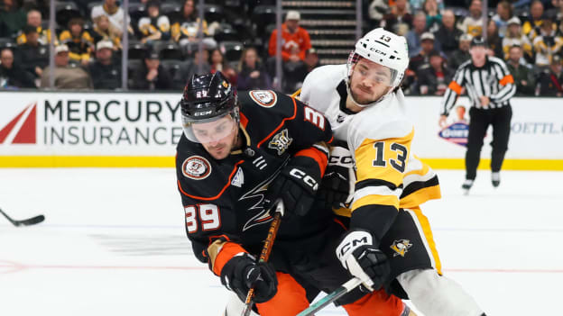 18517227_Pittsburgh_Penguins_v_Anaheim_Ducks_Andrew_Taylor_(Greenfly)_20231108_055533